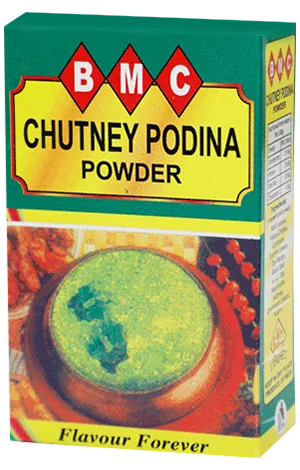 Chutney Podina Powder