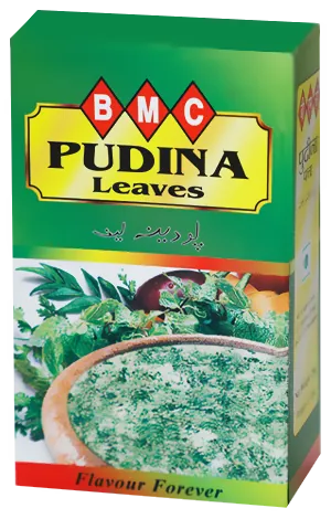 Pudina Patta